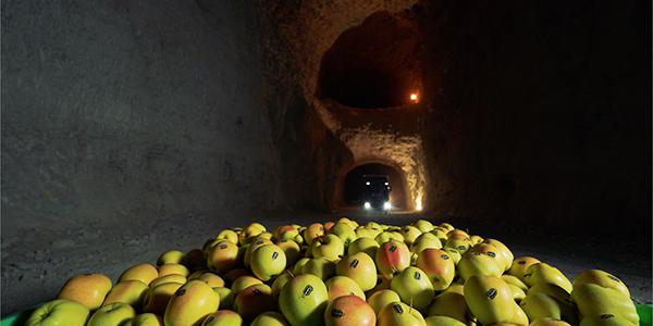 Le mele di Melinda riposano in grotta